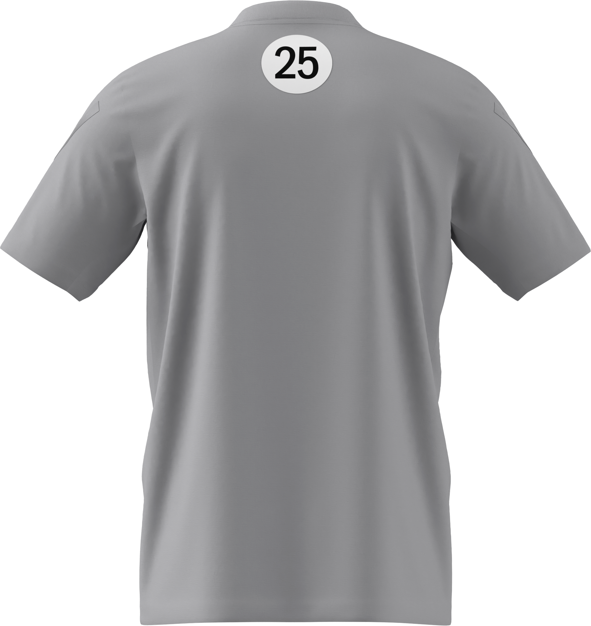 T-shirt herrar, Mercedes-AMG F1, Special Edition Silverstone 2025 - grå, XS